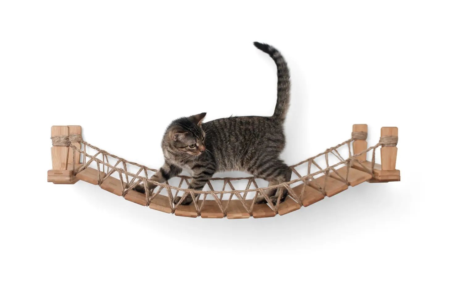 Cat Bridge for Wall, wooden cat bridge with rope lattice, cat walking across.