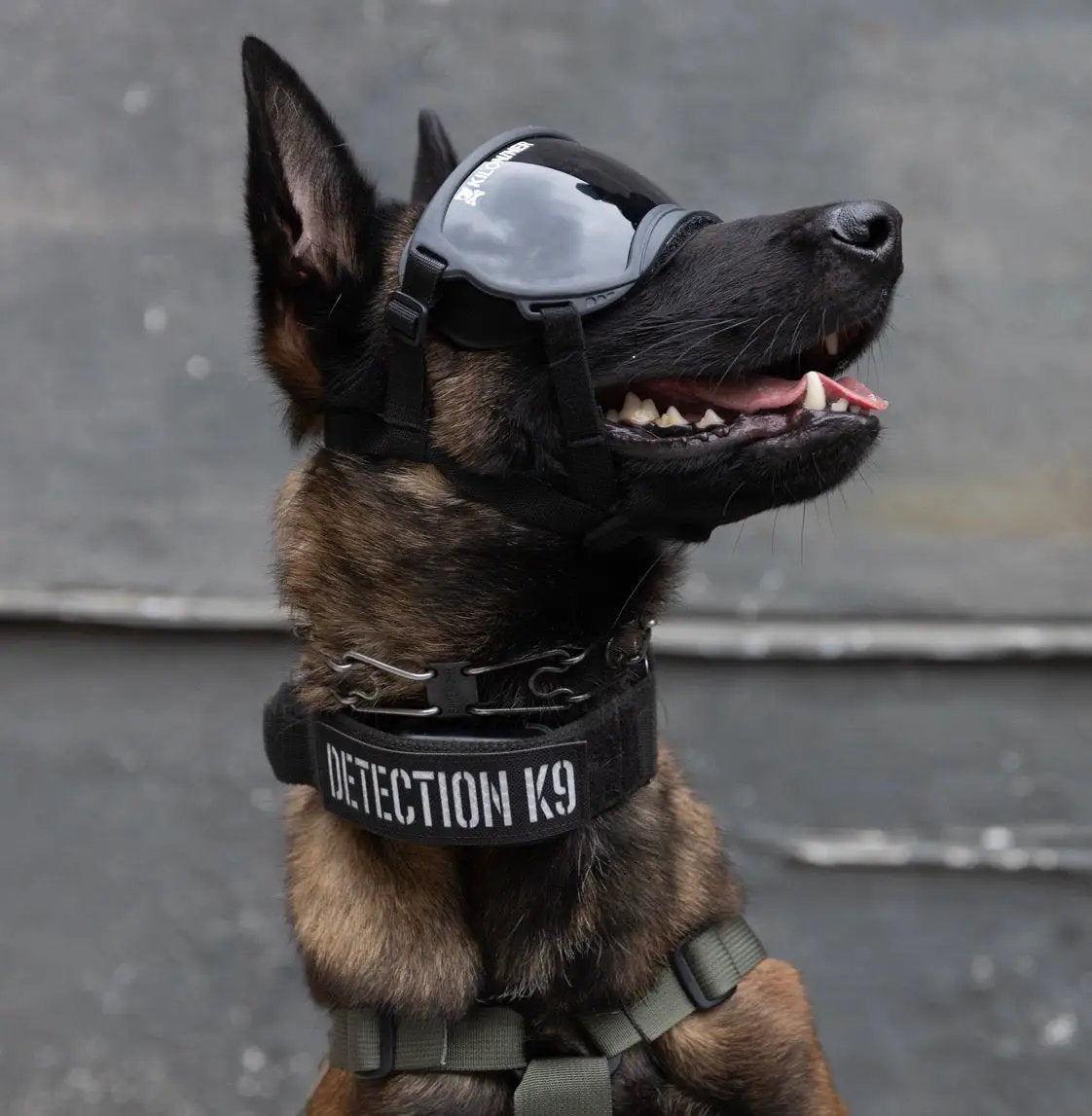 Detection K9 Laser Cut Reflective Morale Patch Hook Fastener 1.5 X 5 by kiloninerpets