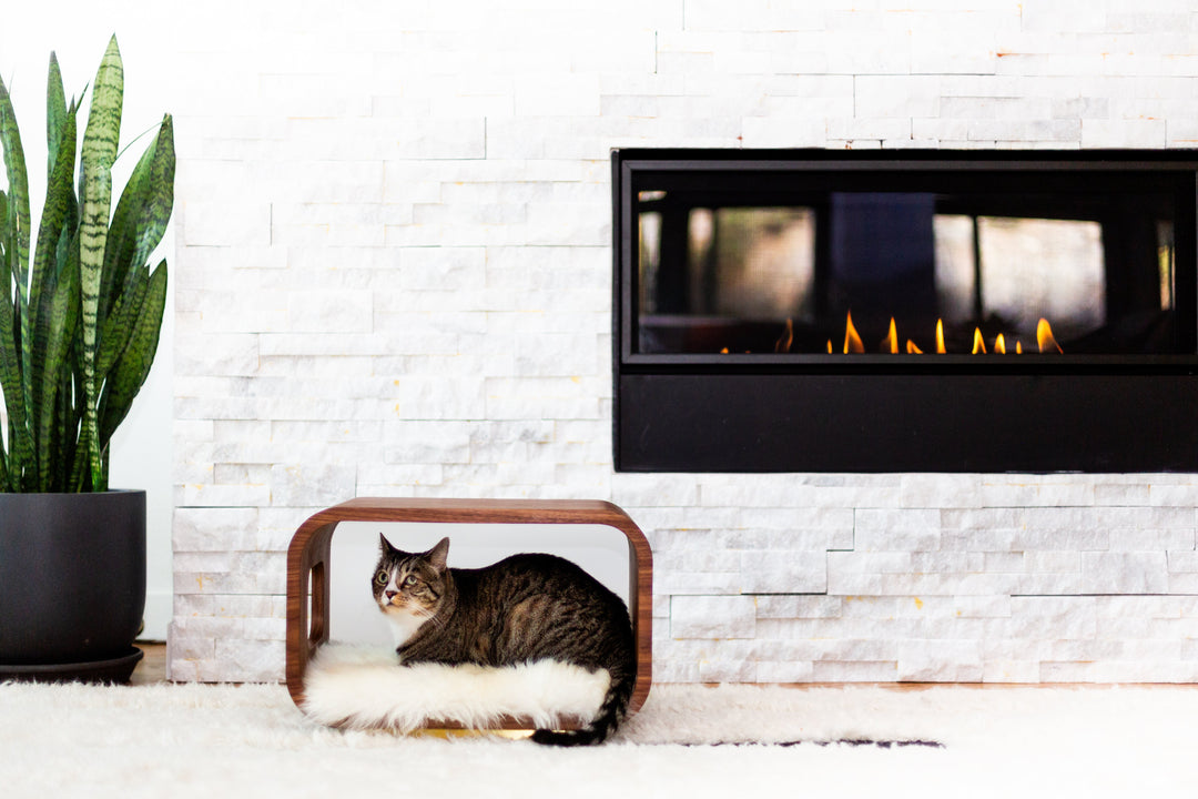LUNA Modern Cat Bed &amp; Side Table, Walnut