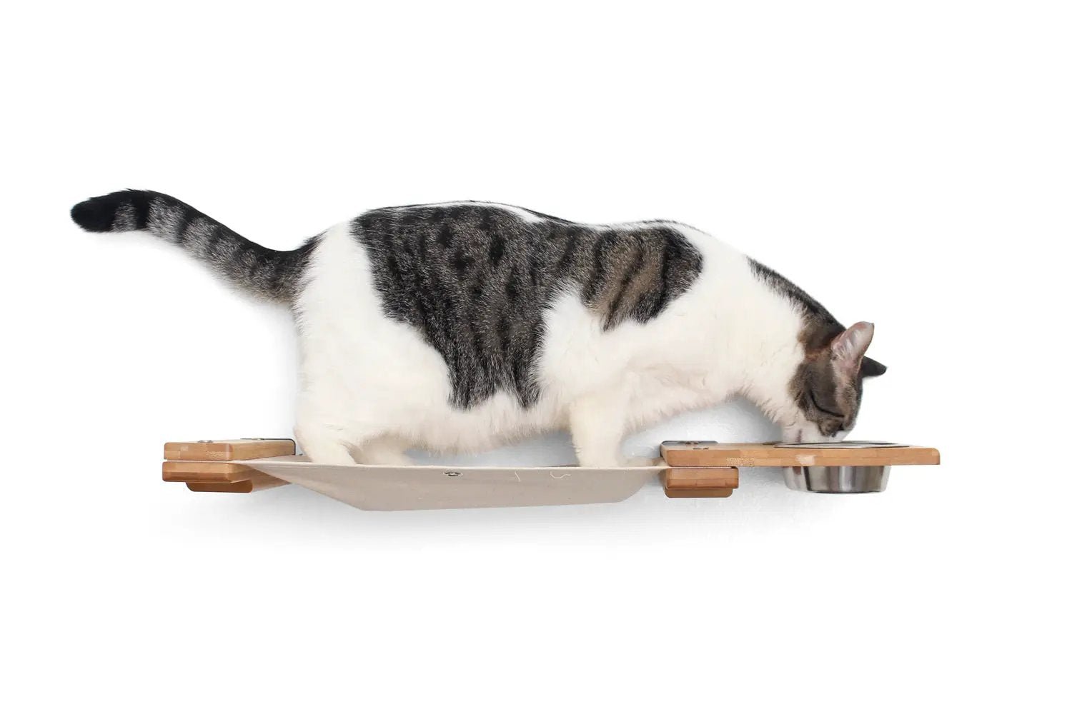 Dog Proof Cat Feeder wall-mounted raised cat hammock platform with beige tray, wooden supports, and metal bowl