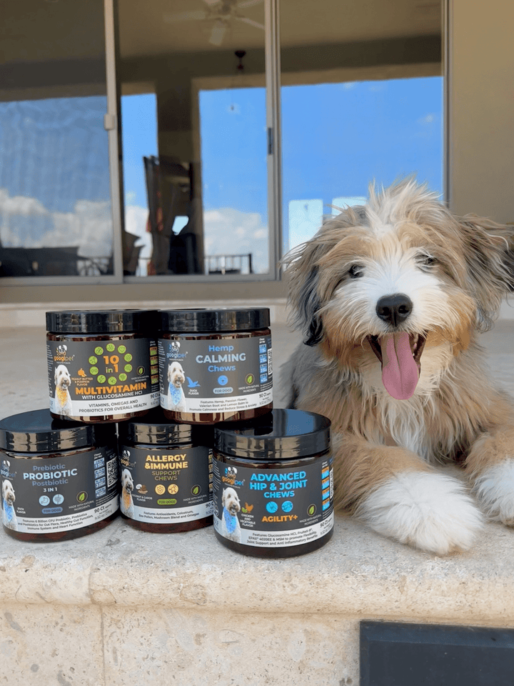 Googipet Allergy &amp; Immune Support Chews (Peanut Butter), product detail image 8
