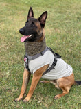 Gallery viewerに画像を読み込む, Active Cooling Dog Shirt | Evaporative & UPF 50

