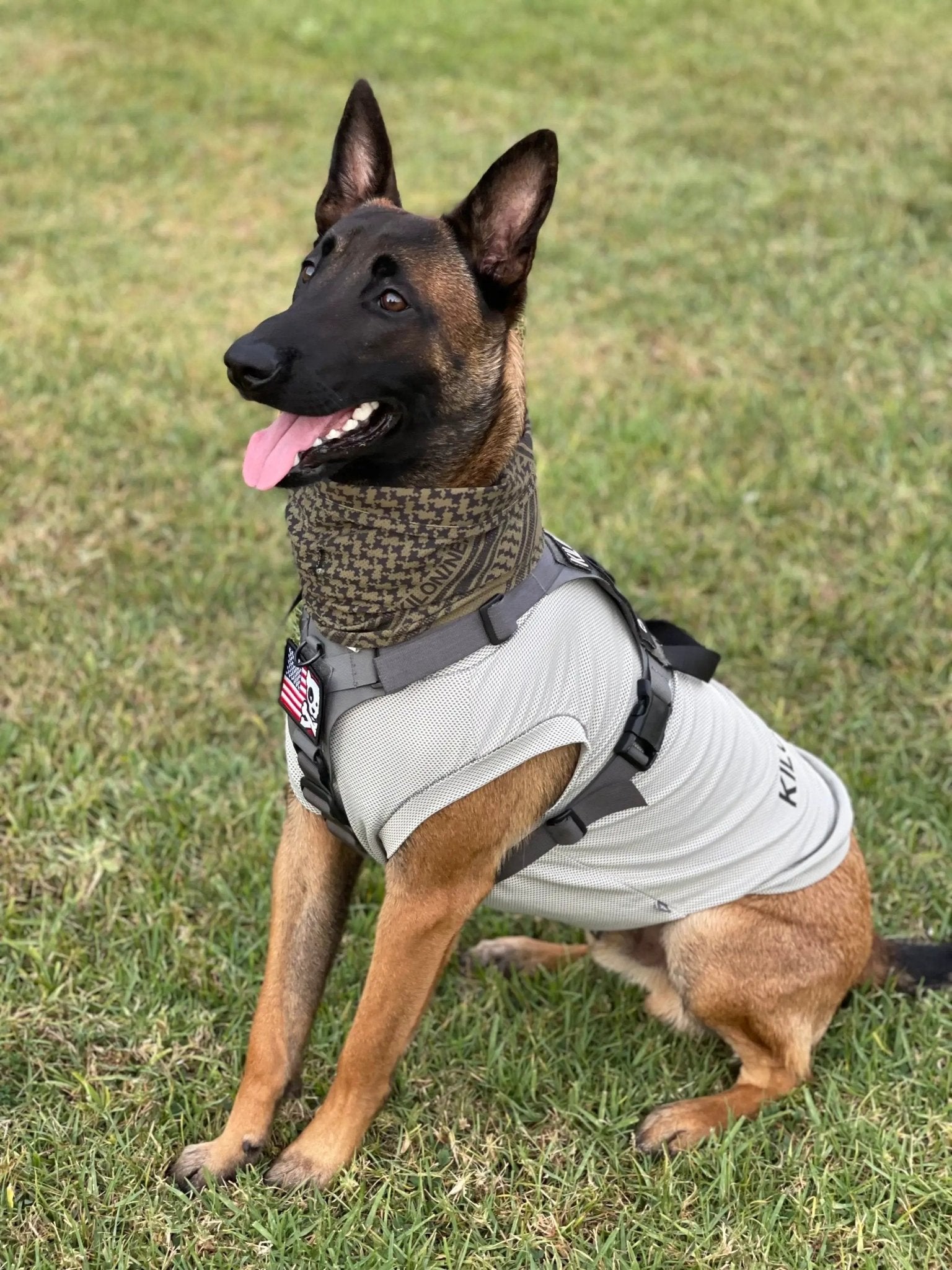 Active Cooling Dog Shirt | Evaporative & UPF 50