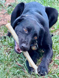 Bild in Galerie-Betrachter laden, SodaPup Durable Nylon Chew Stick For Super Chewers Indestructible Dog Toy Non Toxic Made In Usa by SodaPup/True Dogs, LLC
