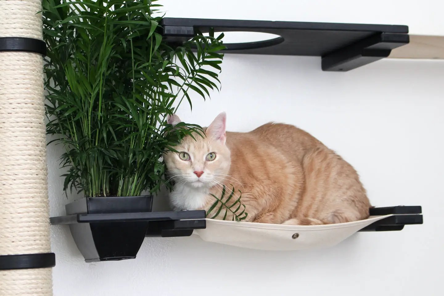 The Gardens cat condo with plants: orange tabby cat lounging on beige hammock beside a potted palm.