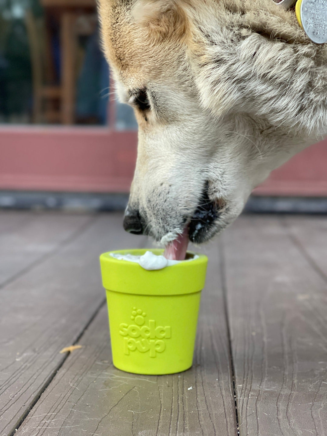 SodaPup Flower Pot rubber eCup dog treat dispenser in green, view 10