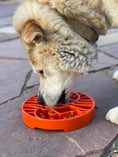 Gallery viewerに画像を読み込む, SodaPup Sun And Moon ETray Shallow Slow Feeder Dog Bowl 8 Inch Diameter USA Made by SodaPup/True Dogs, LLC
