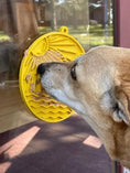 Cargar la imagen en la vista de la galería, Sun n' Sea eMat - Enrichment Lick Mat For Dogs and Cats - With Suction Cups - Beach Design | USA Made

