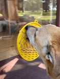 Cargar la imagen en la vista de la galería, Sun n' Sea eMat - Enrichment Lick Mat For Dogs and Cats - With Suction Cups - Beach Design | USA Made
