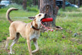 Charger l'image dans la visionneuse de la galerie, USA-K9 Firecracker Floating Training Dummy | K9 Handler Reward Toy | Red | USA Made
