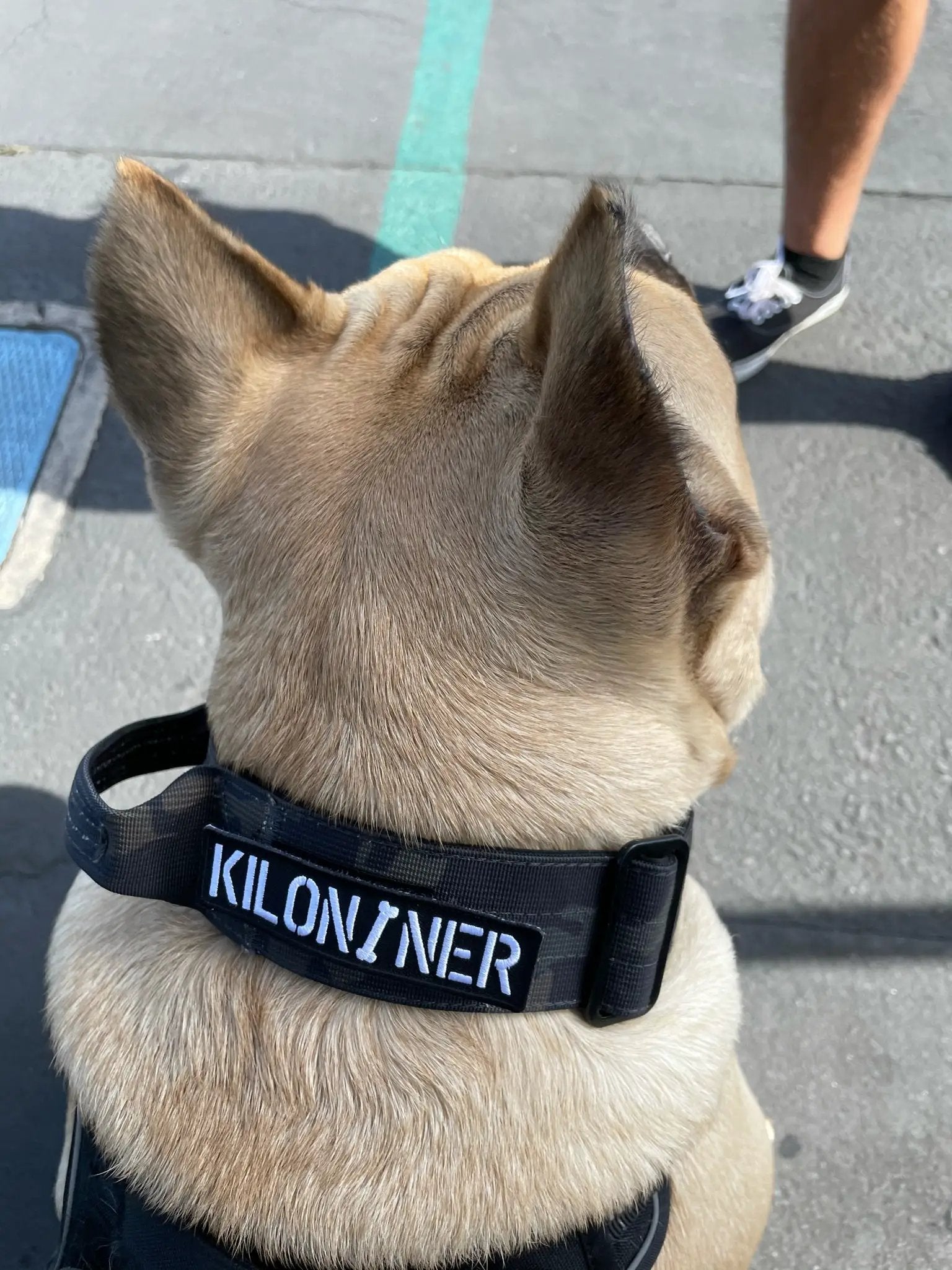 Kiloniner Stencil Embroidered Dog Morale Patch