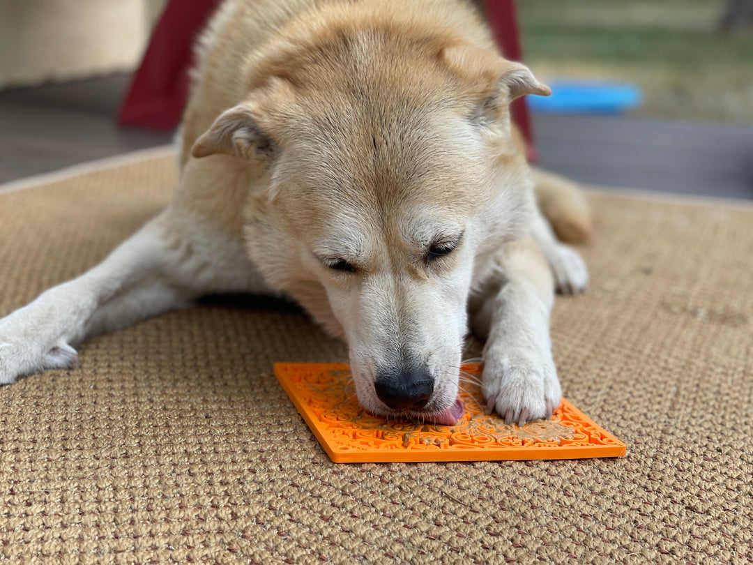 SodaPup Zombie eMat TPE lick mat in black or orange, view 8