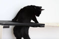 Load image into Gallery viewer, Cat Maze Wall - 3 Tier Cat Tree, black cat exploring a circular opening on a wall-mounted cat condo
