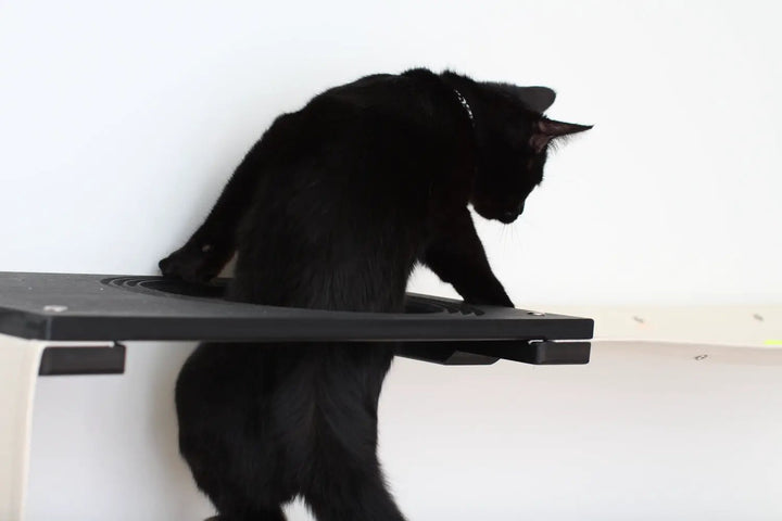 Cat Maze Wall - 3 Tier Cat Tree, black cat exploring a circular opening on a wall-mounted cat condo