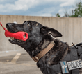 Charger l'image dans la visionneuse de la galerie, USA-K9 Firecracker Floating Training Dummy | K9 Handler Reward Toy | Red | USA Made
