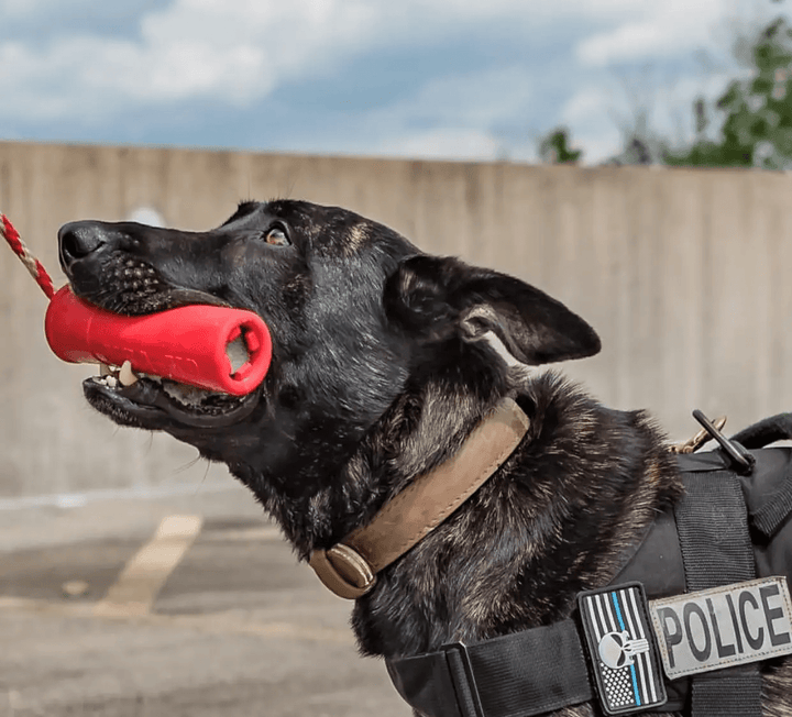 SodaPup USA-K9 Firecracker rubber reward toy in red, view 8