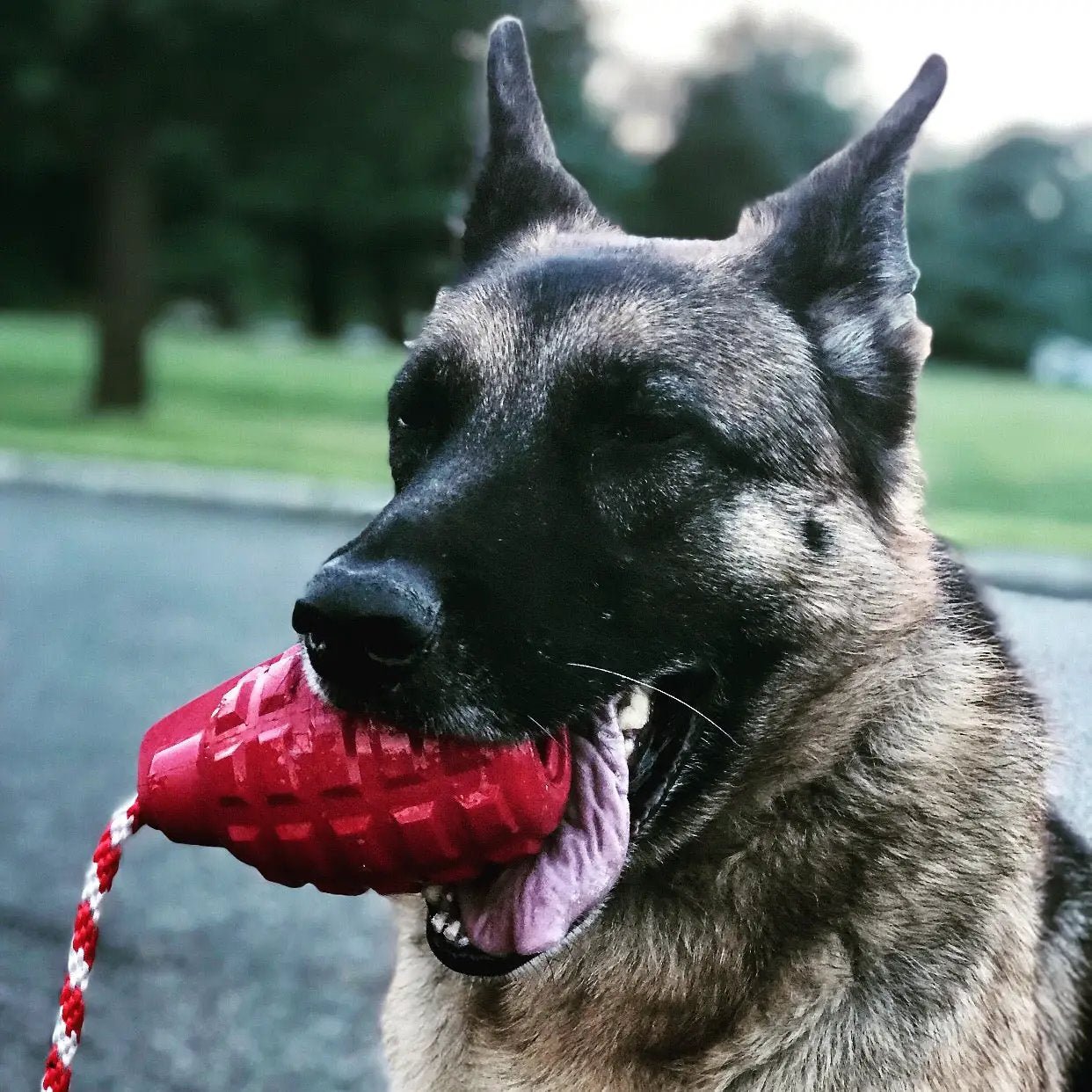 USA-K9 Granaten-Hundespielzeug aus Gummi | Belohnungsspielzeug für K9-Hundeführer | Hergestellt in den USA