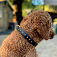 Load image into Gallery viewer, Halter Ego Black Leather Safari Dog Collar Leopard Print Topaz Rivets by Halter Ego®
