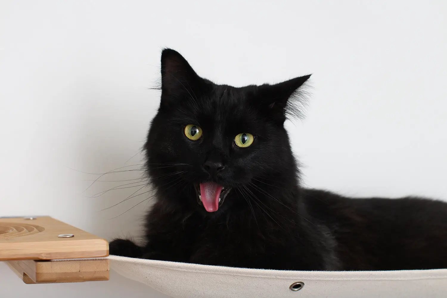 Cat Maze Wall - 3 Tier Cat Tree, cat condo, black cat lounging on a beige fabric hammock with a wooden platform.