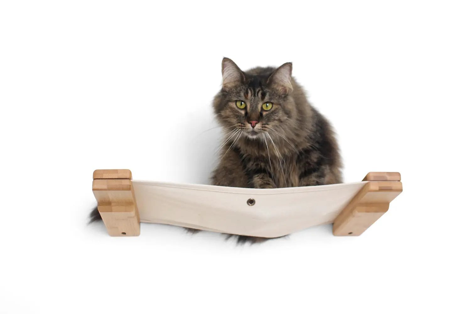 The Roman wall-mounted cat condo with natural wood frame and beige fabric hammock, cat seated inside.