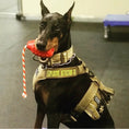 Cargar la imagen en la vista de la galería, USA-K9 Magnum Grenade - Black Magnum Rubber Chew Toy for Extreme Chewers | USA Made
