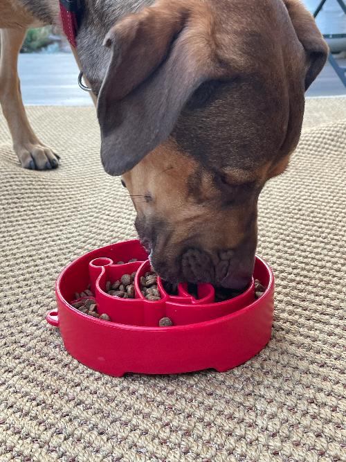 SodaPup Santa eBowl slow feeder dog bowl in red, view 7