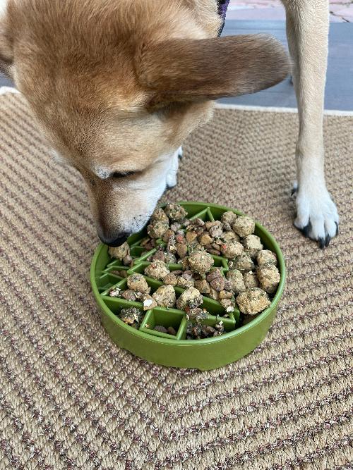 SodaPup Pine Tree TPE slow feeder dog bowl in green, view 10