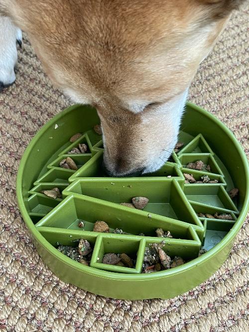 SodaPup Pine Tree TPE slow feeder dog bowl in green, view 9