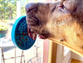 Gallery viewerに画像を読み込む, Turtle eMat-Mini Lick Mat with Suction Cups - Small Dogs & Cats | USA
