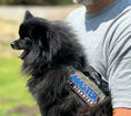 Gallery viewerに画像を読み込む, Master Of Disaster Embroidered Morale Patch With Hook Fastener Backing For Tactical Gear Vests by kiloninerpets
