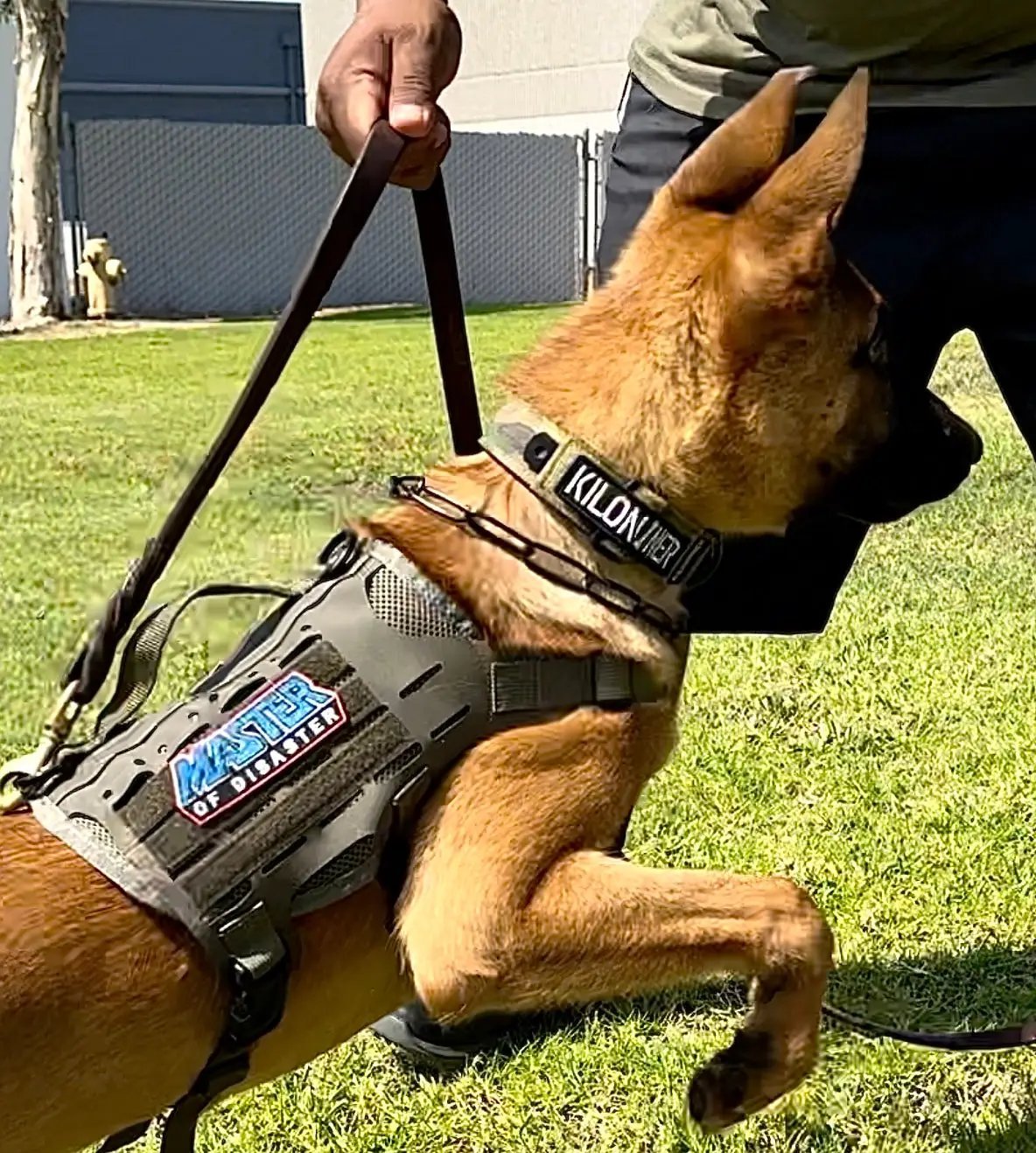 Master Of Disaster Embroidered Morale Patch With Hook Fastener Backing For Tactical Gear Vests by kiloninerpets