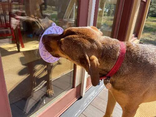 Lotus Design emat - Enrichment Lick Mat For Dogs and Cats - With Suction Cups | USA Made by SodaPup/True Dogs, LLC