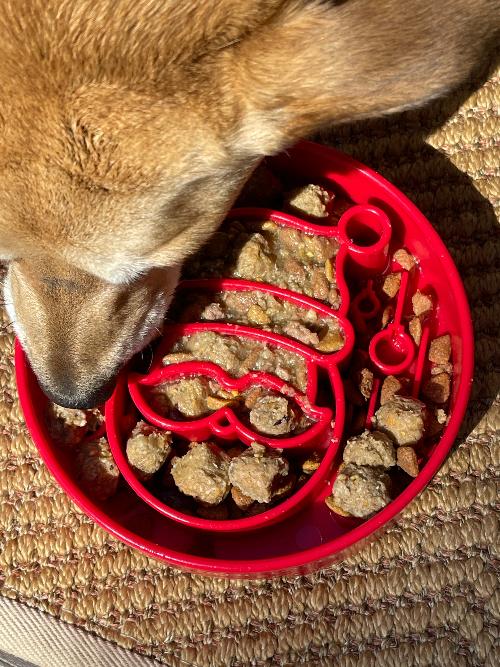 SodaPup Santa eBowl slow feeder dog bowl in red, view 6
