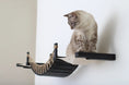 Charger l'image dans la visionneuse de la galerie, Double Cat Hammock and Climbing Bridge Combo cat bridge with black frame and rope hammock, cream cat perched.
