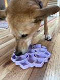 Gallery viewerに画像を読み込む, Dog enjoying the Mandala Softie eTray Slow Feeder Dog Bowl on a wooden floor.
