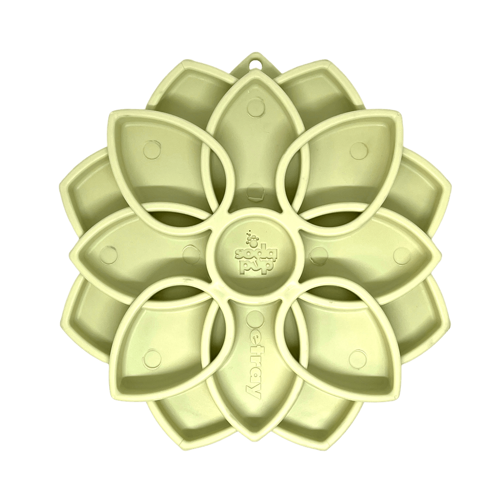 Mandala Softie eTray Slow Feeder Dog Bowl in soft green color with flower design and compartments for slow feeding