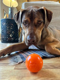 Carica l'immagine nel visualizzatore della galleria, Squeak Ball - Giocattolo per cani durevole con squeaker, galleggiante, da masticare | Prodotto negli USA
