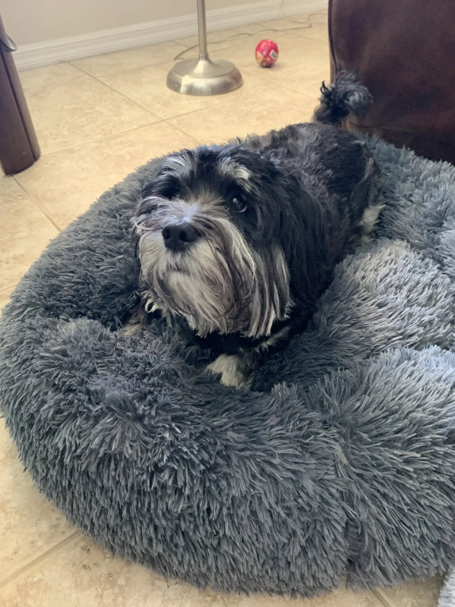 Mr. Peanut's 23-inch OrthoPlush pet bed, gray two-tone donut-style plush bed.