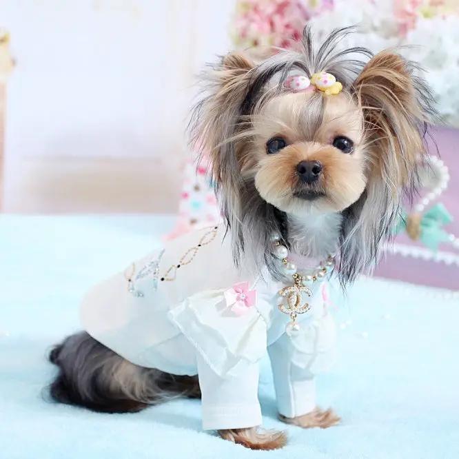 Princess Pearl Elegant Dog Cat Necklace Sparkling Crown Pearl Charm by Jane's Pet Boutique