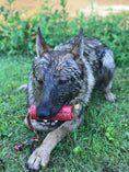 Charger l'image dans la visionneuse de la galerie, USA-K9 Firecracker Floating Training Dummy | K9 Handler Reward Toy | Red | USA Made
