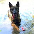 Charger l'image dans la visionneuse de la galerie, USA-K9 Firecracker Floating Training Dummy | K9 Handler Reward Toy | Red | USA Made
