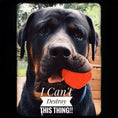 Charger l'image dans la visionneuse de la galerie, WUNDERball - Best Fetch Toy
