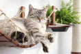 Gallery viewerに画像を読み込む, The Juggernaut wall-mounted cat condo on wooden shelves with rope, featuring a relaxed gray tabby cat.
