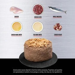 ORIJEN Original Entree pate and chicken shreds with ingredient illustrations