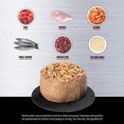 ORIJEN Tuna Salmon and Beef pate texture and ingredient illustration