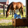 Bild in Galerie-Betrachter laden, Jeffers Expressions No-Turn bell boots for horses, nylon, blue patterned pair.
