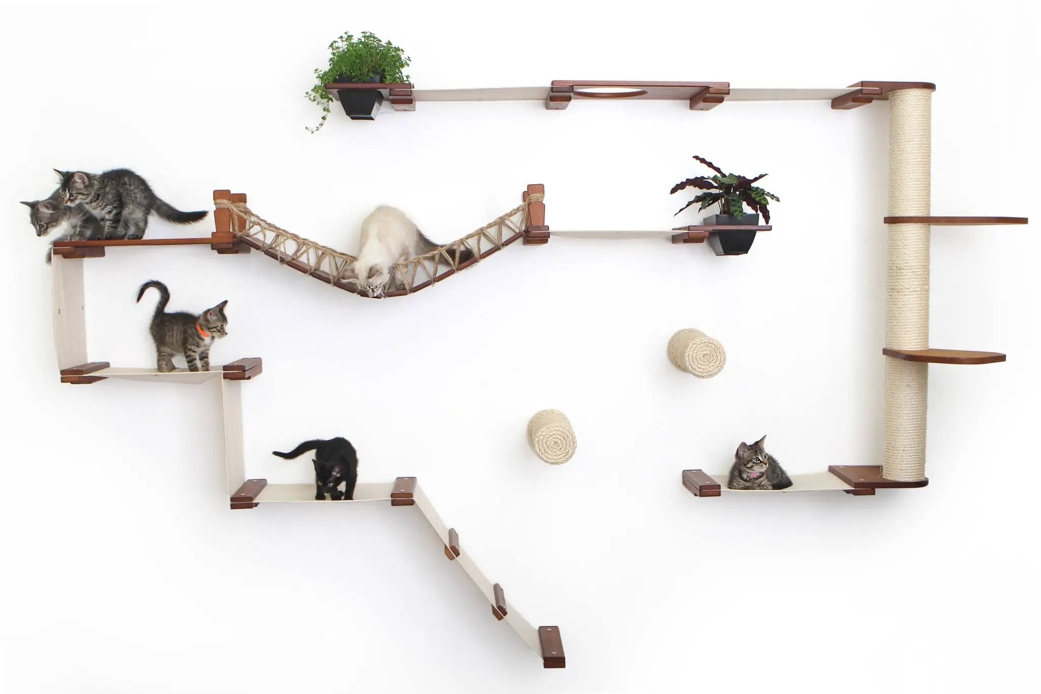 The Juggernaut indoor wall cat condo by Catastrophic Creations with beige platforms and rope bridge, 5 cats perched.