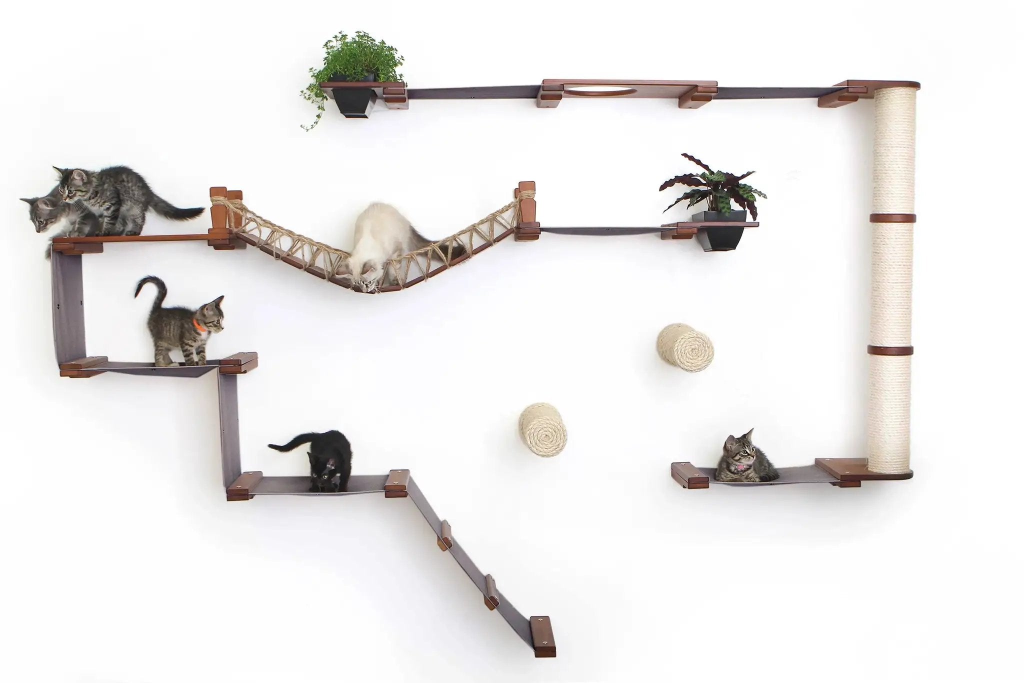 The Juggernaut wall-mounted cat condo playground with hammock, rope bridge, wood platforms, and sisal post.
