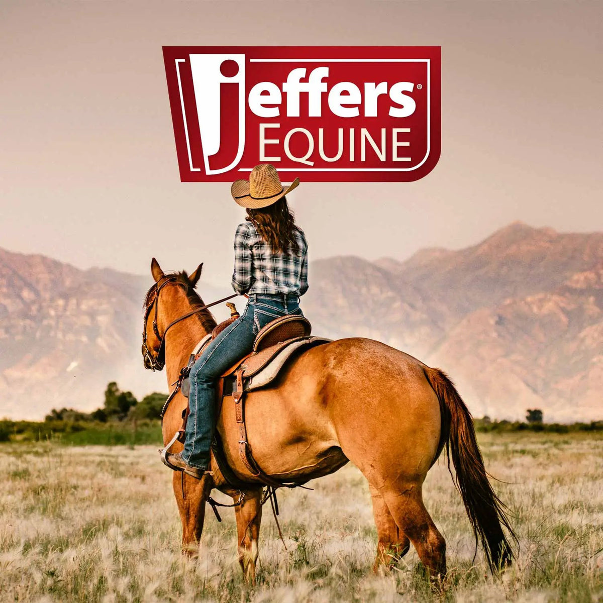 Jeffers WoolLuxe saddle pad advertisement with Jeffers Equine logo, rider on a brown horse in a grassy field