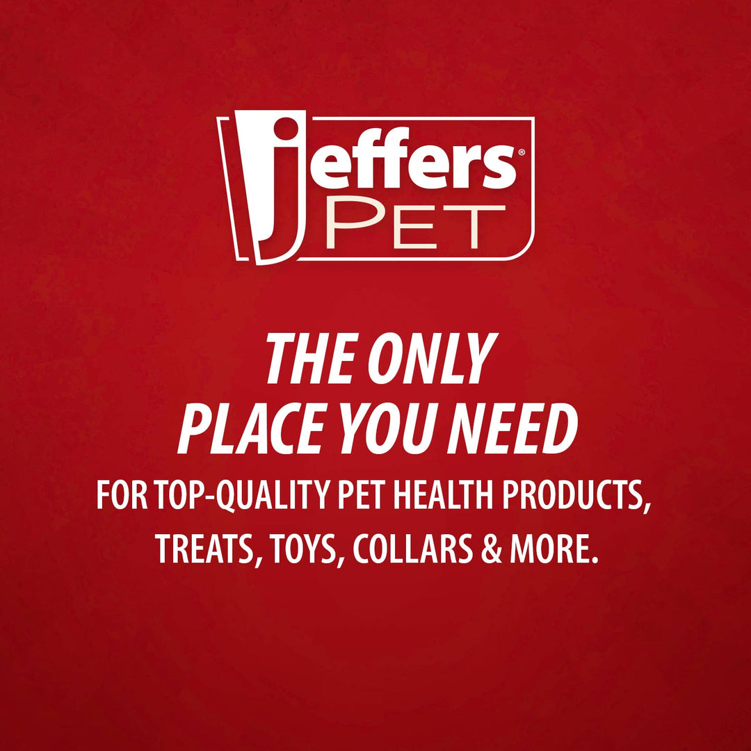 Jeffers Red Seahorse Natural Rubber Dog Chew Toy